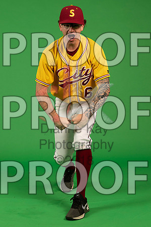 80_  Baseball Social Media 230_ copy