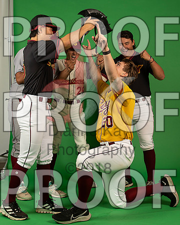 97_  Baseball Social Media 214_ copy