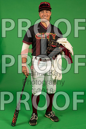 65_  Baseball Social Media 247_ copy