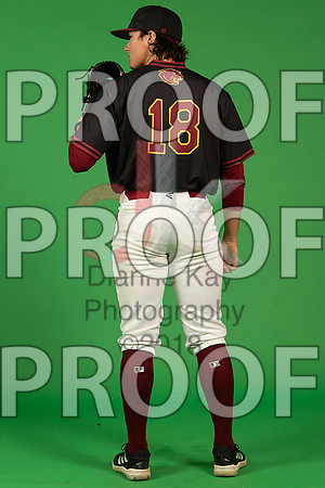 76_  Baseball Social Media 235_ copy