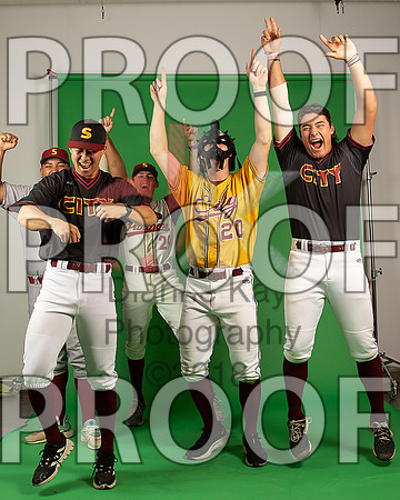 84_  Baseball Social Media 226_ copy