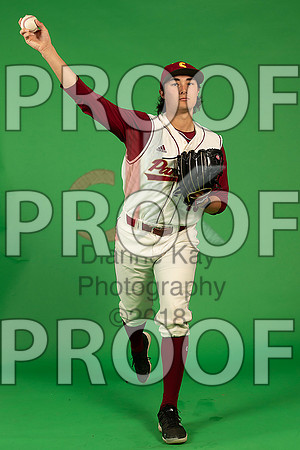 71_  Baseball Social Media 24_ copy