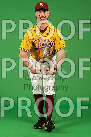 72_  Baseball Social Media 239_ copy