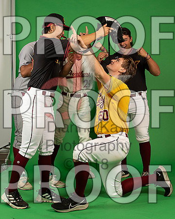 96_  Baseball Social Media 215_ copy