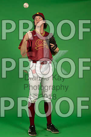 177_  Baseball Social Media 111_ copy