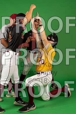 99_  Baseball Social Media 212_ copy