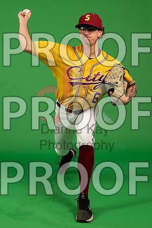 7_  Baseball Social Media 92_ copy