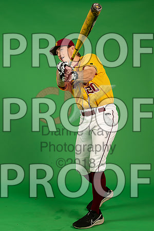 39_  Baseball Social Media 58_ copy
