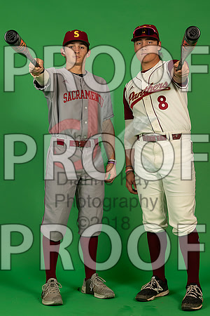 26_  Baseball Social Media 7_ copy
