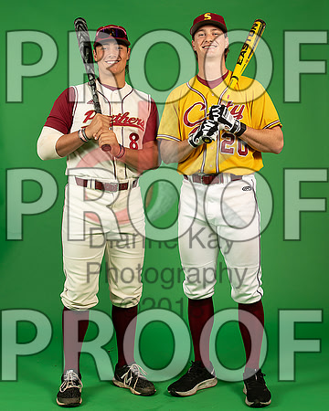 35_  Baseball Social Media 61_ copy