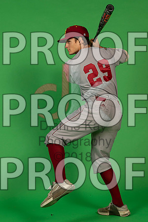 162_  Baseball Social Media 13_ copy