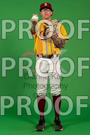 3_  Baseball Social Media 97_ copy