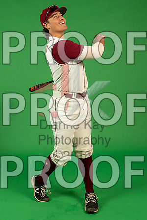 188_  Baseball Social Media 1_ copy