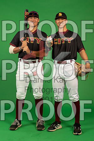 14_  Baseball Social Media 86_ copy