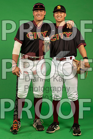 15_  Baseball Social Media 84_ copy
