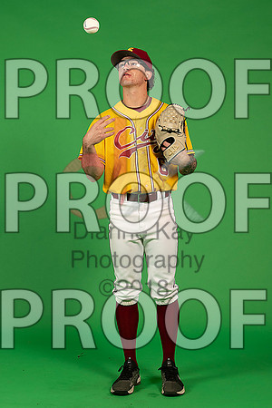 13_  Baseball Social Media 87_ copy
