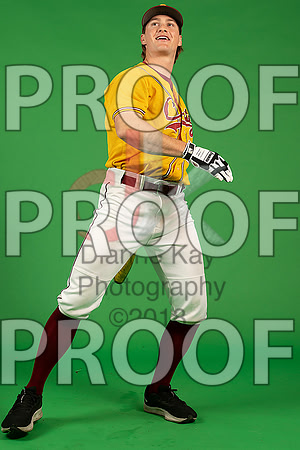 38_  Baseball Social Media 59_ copy