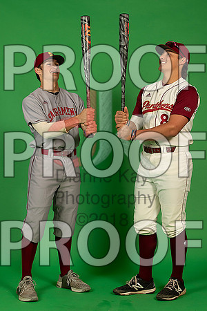 17_  Baseball Social Media 8_ copy
