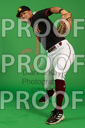 22_  Baseball Social Media 73_ copy