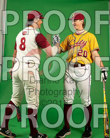 36_  Baseball Social Media 60_ copy