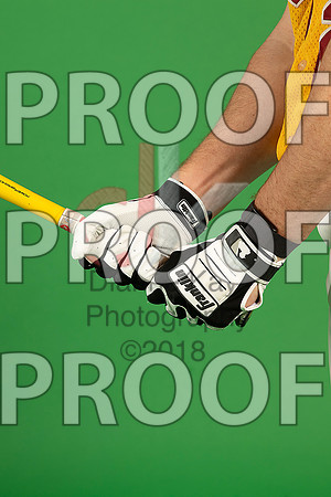 29_  Baseball Social Media 67_ copy