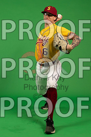 4_  Baseball Social Media 96_ copy
