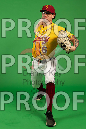 8_  Baseball Social Media 91_ copy