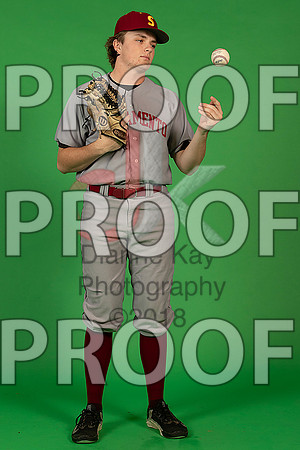 62_  Baseball Social Media 29_ copy