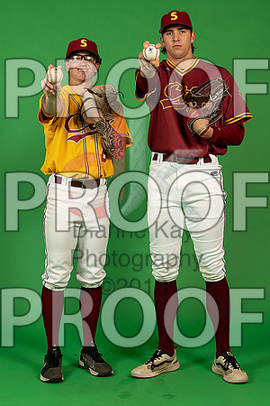 116_  Baseball Social Media 190_ copy