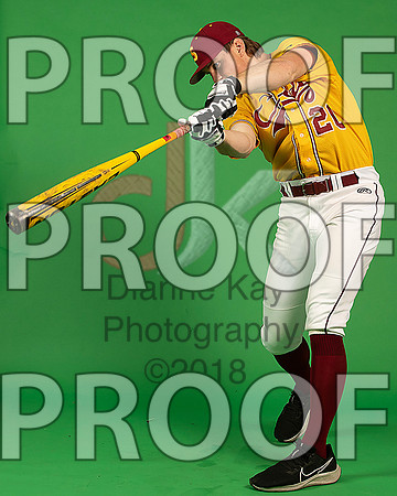 41_  Baseball Social Media 56_ copy