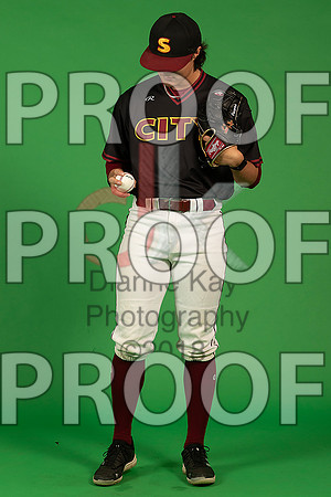 78_  Baseball Social Media 232_ copy