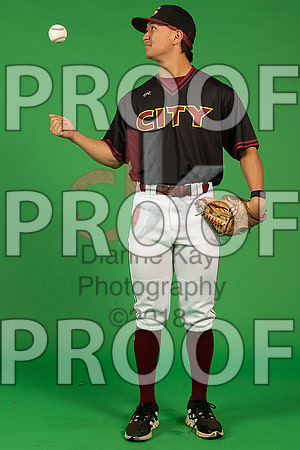 25_  Baseball Social Media 70_ copy