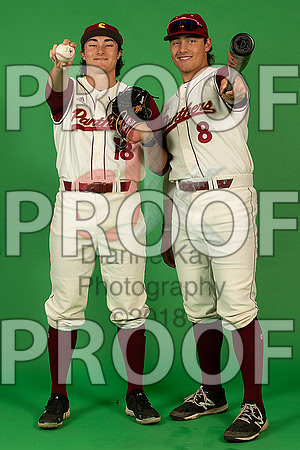 37_  Baseball Social Media 6_ copy