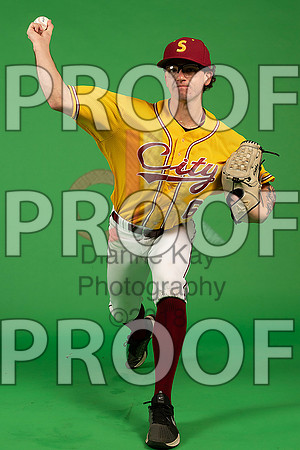 5_  Baseball Social Media 94_ copy