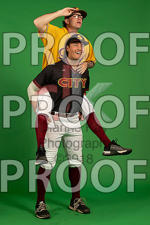 108_  Baseball Social Media 201_ copy