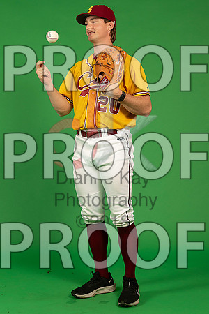 161_  Baseball Social Media 130_ copy